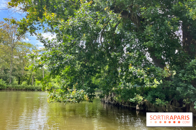 Domaine de Chamarande - nos photos - image00007