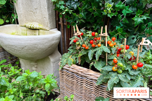 Le Potager, Roch Hotel & Spa - Potager