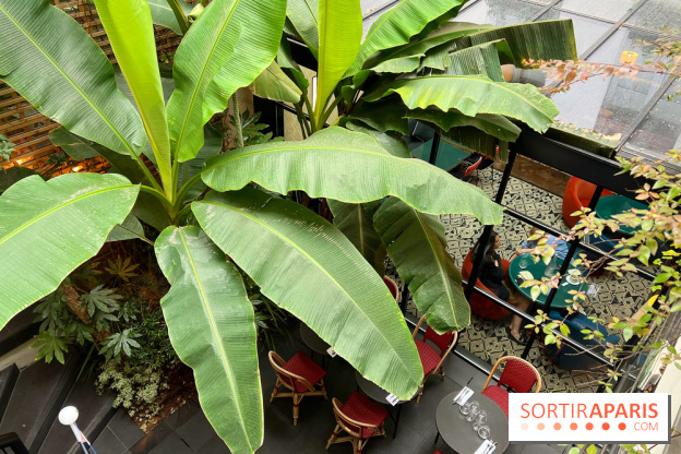 Le Potager, Roch Hotel & Spa - Terrasse patio verdoyant