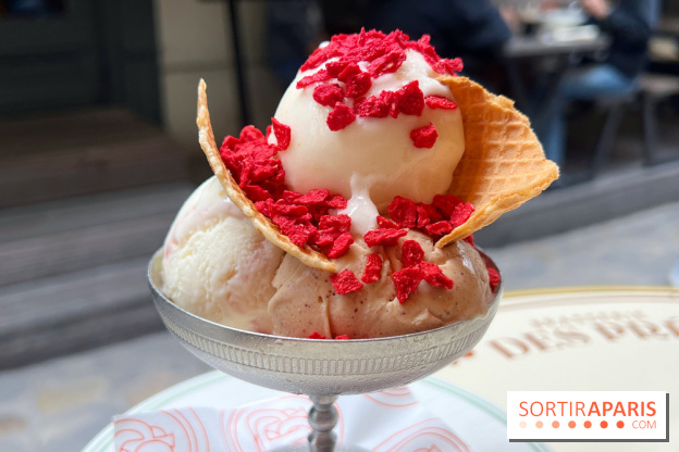 Glacier des Prés - Glaces et sorbets