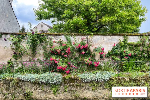 Crécy-la-Chappelle - nos photos - image00056