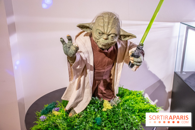 Star Wars : Fans of the Galaxy, l'expo à découvrir dans une galaxie lointaine, très lointaine - DSC 0871