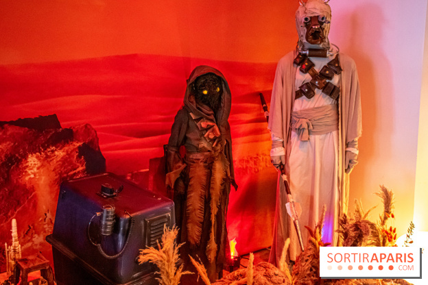Star Wars : Fans of the Galaxy, l'expo à découvrir dans une galaxie lointaine, très lointaine - DSC 0899