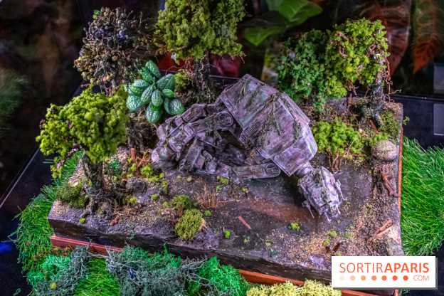 Star Wars : Fans of the Galaxy, l'expo à découvrir dans une galaxie lointaine, très lointaine - DSC 0903