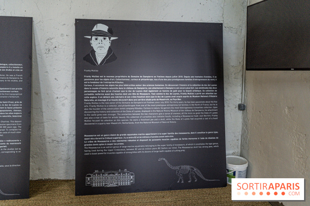 Un dinosaure géant au Château de Dampierre - Jurassique au Château de Dampierre -  A7C8906