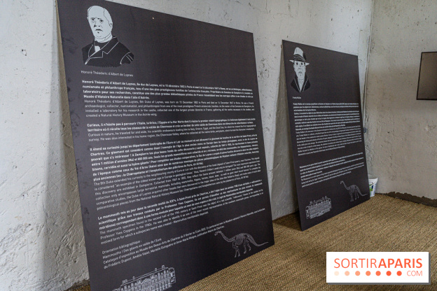 Un dinosaure géant au Château de Dampierre - Jurassique au Château de Dampierre -  A7C8904