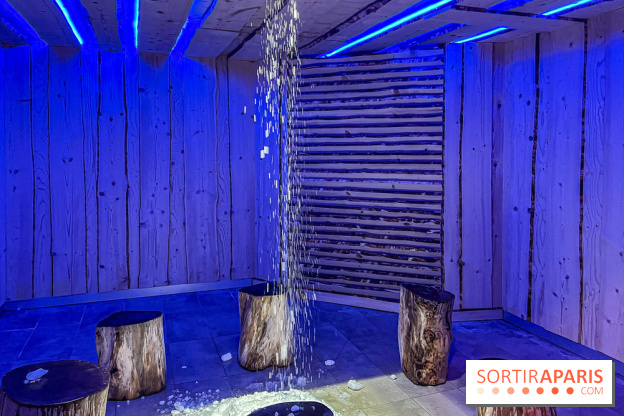 Calicéo Saint-Cyr-l'École, l'immense espace SPA aquatique de remise en forme