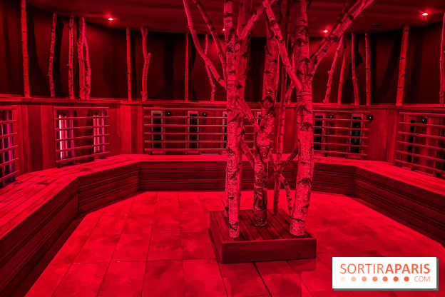 Calicéo Saint-Cyr-l'École, l'immense espace SPA aquatique de remise en forme
