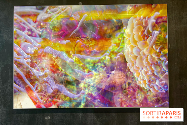 Le monde est à tous.tes - IMG 2543