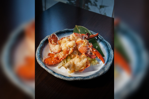 Campagne #33610 - 358013453 688444726628746 904374060728429672 n