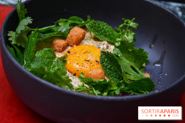 Comestibles comptoir gourmand et terrasse confidentielle par Paul Pairet à l'Hôtel de Crillon - DSC 1759