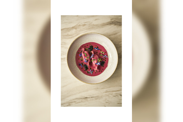 Campagne #33628 - plat par Javier OLIVA 3