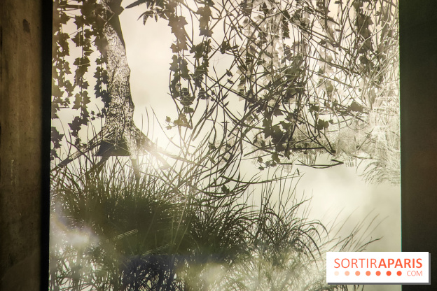 Decoding Korea : l'art numérique et contemporain coréen se dévoile au Grand Palais Immersif - IMG20240725151450