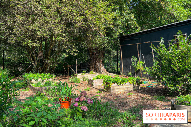 Camping Paris Maisons-Laffite - image00035