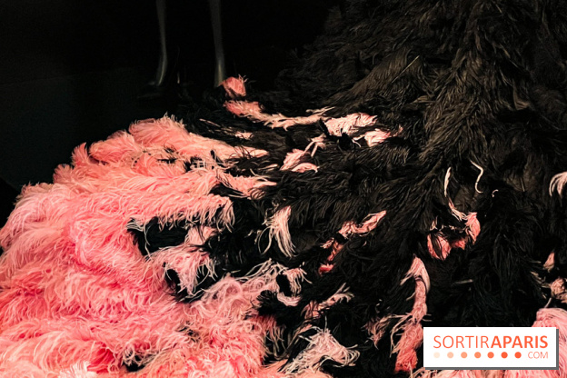 JO paris 2024 : Les tenues de scène de Lady Gaga, Aya Nakamura et Céline Dion exposées à la Galerie Dior  - image00004