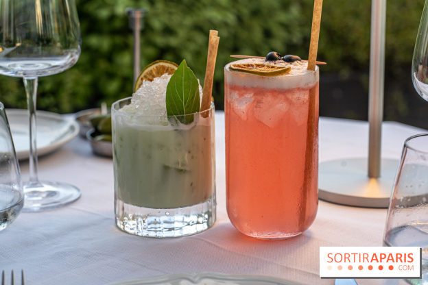 La terrasse dans un jardin avec vue Tour Eiffel du Marguerite 1606 au Domaine de la Reine Margot -  A7C1341