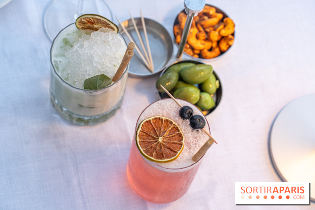 La terrasse dans un jardin avec vue Tour Eiffel du Marguerite 1606 au Domaine de la Reine Margot -  A7C1343