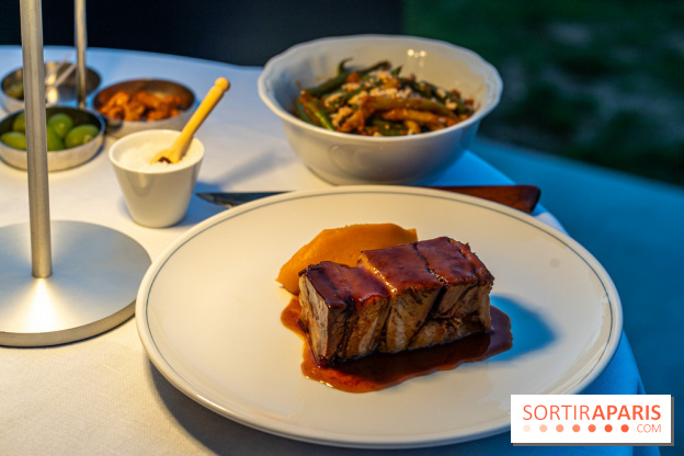 La terrasse dans un jardin avec vue Tour Eiffel du Marguerite 1606 au Domaine de la Reine Margot -  A7C1366