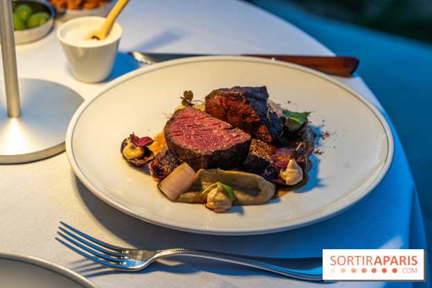 La terrasse dans un jardin avec vue Tour Eiffel du Marguerite 1606 au Domaine de la Reine Margot -  A7C1368