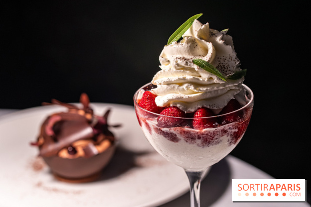 La terrasse dans un jardin avec vue Tour Eiffel du Marguerite 1606 au Domaine de la Reine Margot -  A7C1378