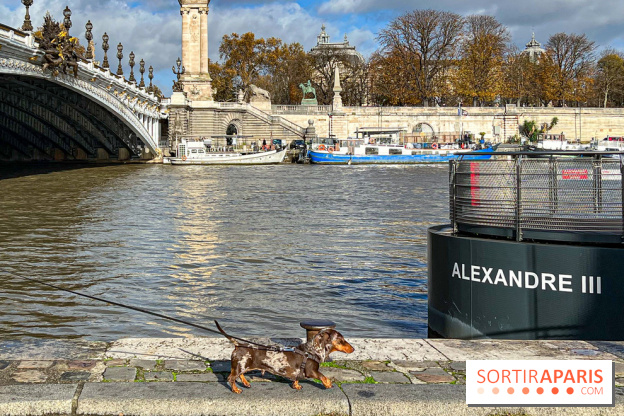 Paris Sausage Walk 2024 : la marche des teckels de retour dans la capitale - image00001