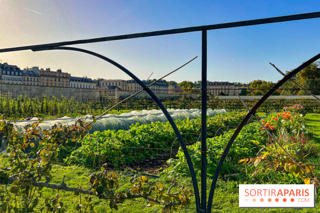 Les Saveurs du Potager du Roi à Versailles : marché de fruits & légumes, expositions et animations