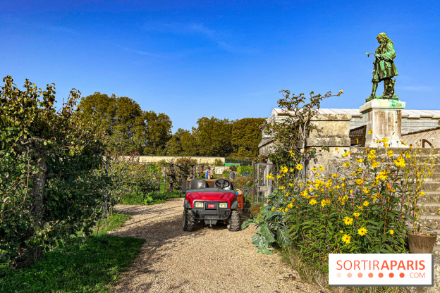 Les Saveurs du Potager du Roi à Versailles : marché de fruits & légumes, expositions et animations - image00020