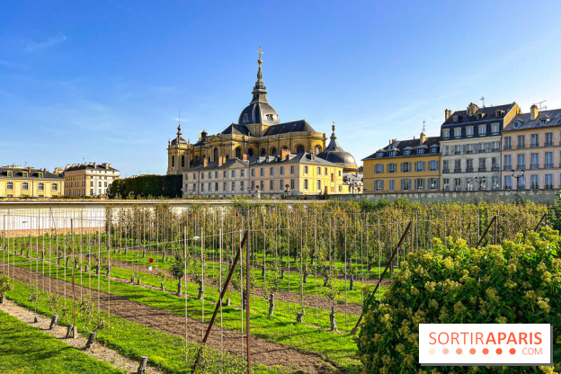 Les Saveurs du Potager du Roi à Versailles : marché de fruits & légumes, expositions et animations - image00055