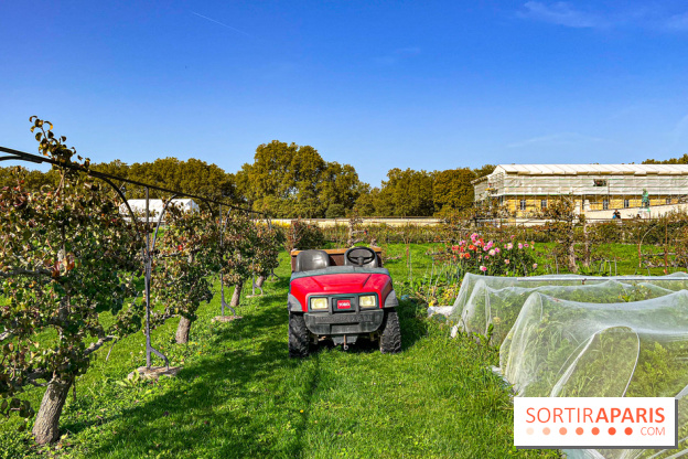 Les Saveurs du Potager du Roi à Versailles : marché de fruits & légumes, expositions et animations - image00060