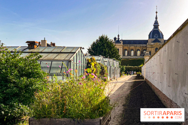 Les Saveurs du Potager du Roi à Versailles : marché de fruits & légumes, expositions et animations - image00069