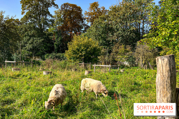 Les Saveurs du Potager du Roi à Versailles : marché de fruits & légumes, expositions et animations - image00079