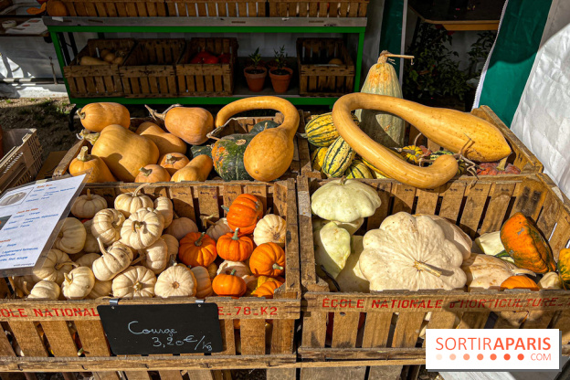 Les Saveurs du Potager du Roi à Versailles : marché de fruits & légumes, expositions et animations - image00092