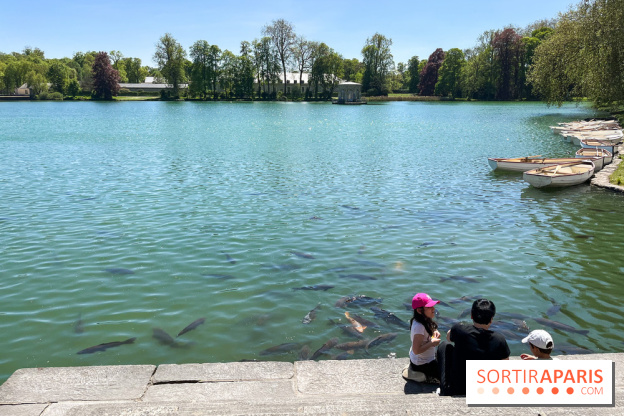Etang aux carpes et barques - nos photos