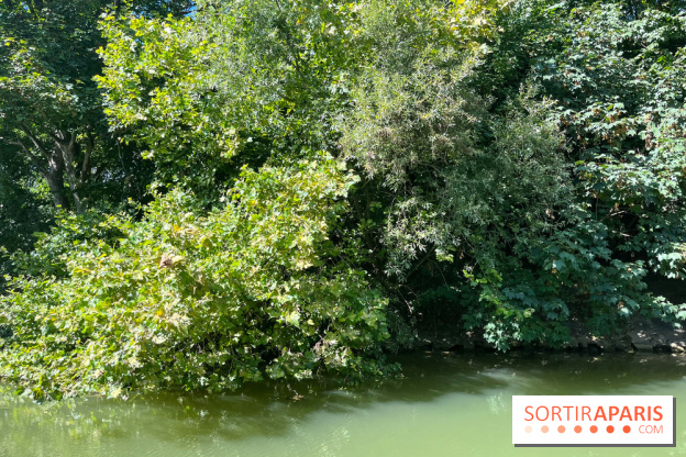 Marin d'eau douce Boulogne - nos photos