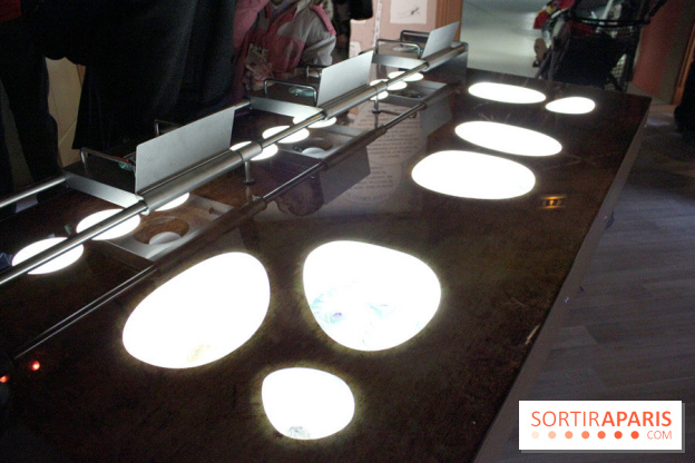 L'Arche des petites bêtes au Zoo de Thoiry