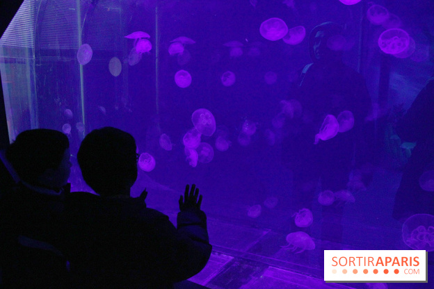 L'Arche des petites bêtes au Zoo de Thoiry