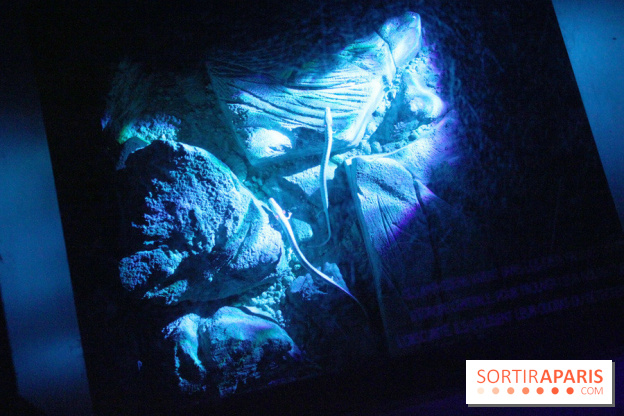 L'Arche des petites bêtes au Zoo de Thoiry