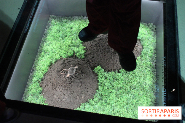 L'Arche des petites bêtes au Zoo de Thoiry