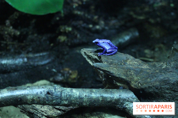 L'Arche des petites bêtes au Zoo de Thoiry