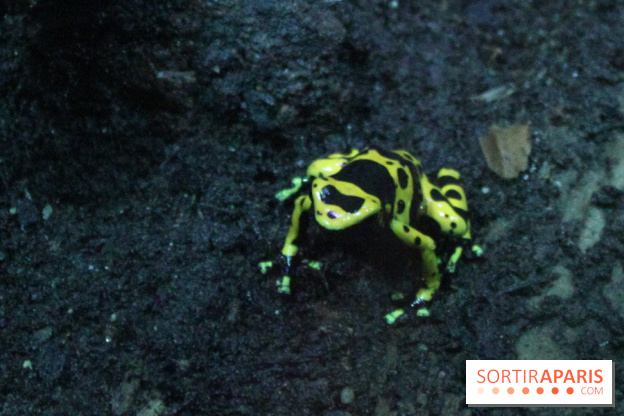 L'Arche des petites bêtes au Zoo de Thoiry