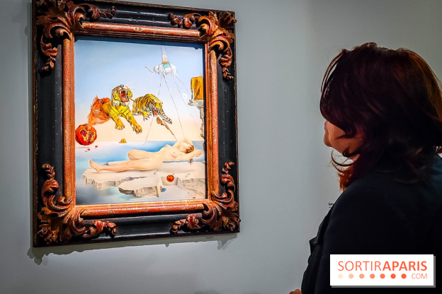 Le surréalisme : l'exposition exceptionnelle qui célèbre les 100 ans du mouvement au Centre Pompidou - IMG20240903162756