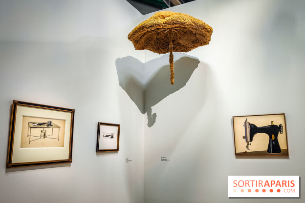 Le surréalisme : l'exposition exceptionnelle qui célèbre les 100 ans du mouvement au Centre Pompidou - IMG20240903162912