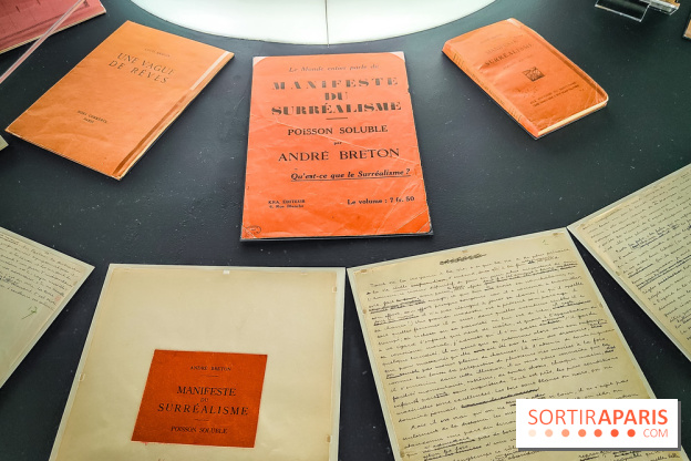 Le surréalisme : l'exposition exceptionnelle qui célèbre les 100 ans du mouvement au Centre Pompidou - IMG20240903165350
