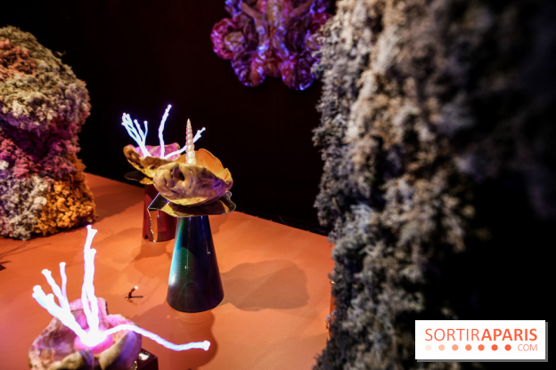 “Forêts astrales” : nos photos de l'exposition gratuite à voir à l'Institut suédois à Paris - IMG 5918