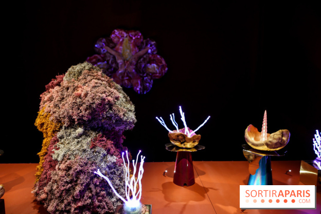 “Forêts astrales” : nos photos de l'exposition gratuite à voir à l'Institut suédois à Paris - IMG 5920