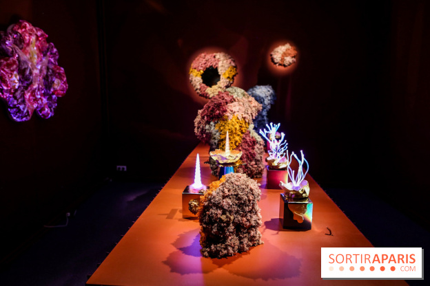 “Forêts astrales” : nos photos de l'exposition gratuite à voir à l'Institut suédois à Paris