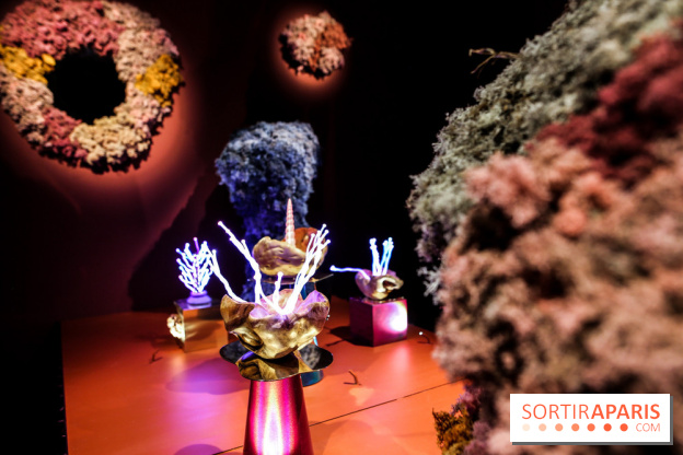 “Forêts astrales” : nos photos de l'exposition gratuite à voir à l'Institut suédois à Paris - IMG 5972