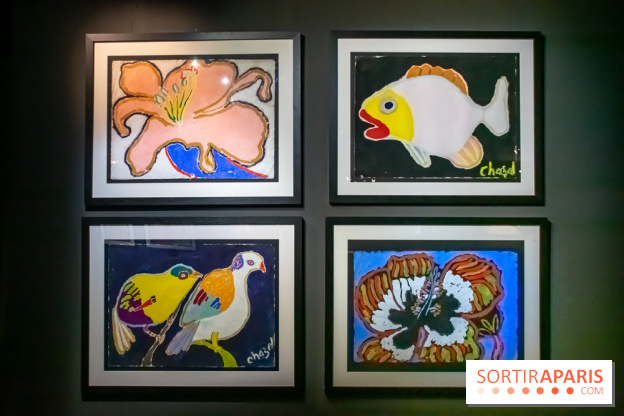 Exposition Malcolm de Chazal à la Halle Saint-Pierre - DSC 1002