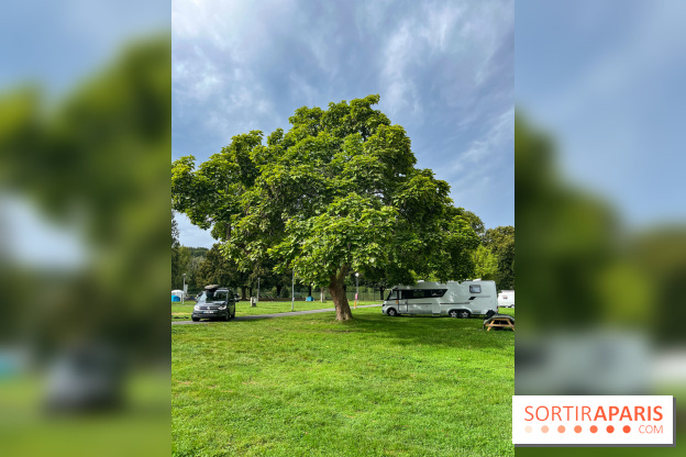 Parc Saint-Aubin Samoreau - nos photos - image00007