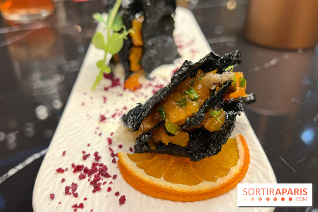 Moon Fusion - Black cripsy saumon